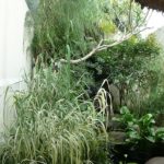 cara merancang arundo donax dan melati air