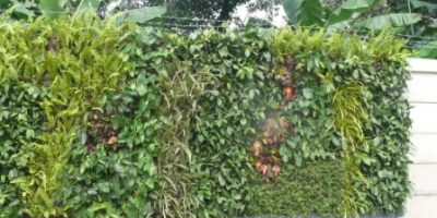 Vertical garden area parkir.