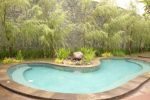 kolam renang dengan tanaman berdaun halus. club house terinspirasi taman gaya Jepang.