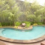 kolam renang dengan tanaman berdaun halus. club house terinspirasi taman gaya Jepang.