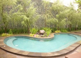 kolam renang dengan tanaman berdaun halus. club house terinspirasi taman gaya Jepang.