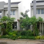 taman di depan dari 2 kavling rumah yang disatukan di perumahan, menggunakan 2 pohon palem.