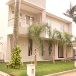 Taman di depan rumah. Taman minimalis dengan pohon palem, dan rumput.