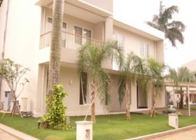 Taman di depan rumah. Taman minimalis dengan pohon palem, dan rumput.