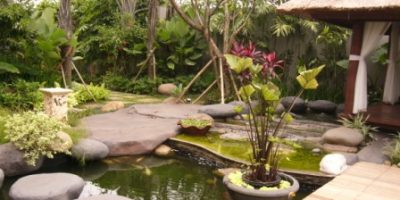 taman tropis di halaman belakang rumah dengan kolam dan tanaman air.