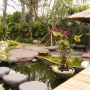 taman tropis di halaman belakang rumah dengan kolam dan tanaman air.