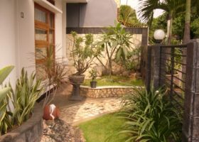taman kecil dan elegan berbeda alas ground cover rumput batu alam.