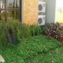 Taman minimalis, jenis tanaman tidak lebih dari 10 jenis antara lain; kacang hias, Dracaena sp, dan Iris.