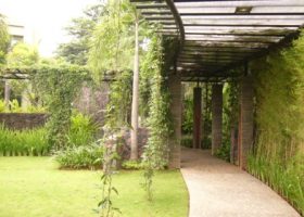 Jalan setapak dengan bentuk melingkar.