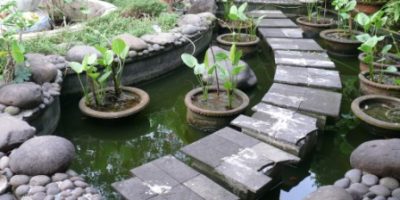 Jalan setapak di atas kolam berbentuk melingkar.