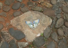 Stepping stone dengan ornamen keramik motif kupu-kupu.