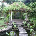 taman vertikal-tanaman rambat-terisnpirasi dari taman Inggris
