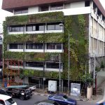 vertical garden pada fasad bangunan di perkotaaan.