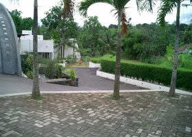 Bambu untuk tanaman pagar.