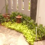 taman di dalam rumah