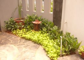 taman di dalam rumah