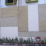 Sansievera Trifasciata di bawah dinding dengan motif motif kotak-kotak.