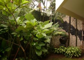 dinding dengan motif kontemporer dari batu alam di samping rumah.