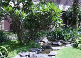 kolam alami dengan batu alam.