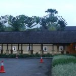 pisang kipas sebagai latar belakang bangunan.