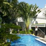 taman belakang kolam renang pisang kipas-elisa.