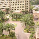 Pohon kurma yang dirancang di depan gedung.