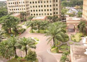 Pohon kurma yang dirancang di depan gedung.