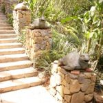 patung kura-kura di samping tangga.