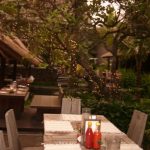 pencahayaan dari lampu selang LED yang melilit batang pohon.