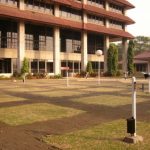 pohon glodokan tiang pada kolom bangunan rektorat UI.