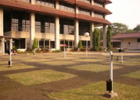 pohon glodokan tiang pada kolom bangunan rektorat UI.