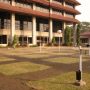 pohon glodokan tiang pada kolom bangunan rektorat UI.