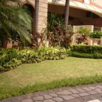 taman di depan gedung di komplek arkadia.