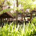 tanaman iris menjadi pembatas antar area tempat makan dan kolam atsmosphere cafe bandung.