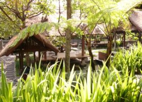 tanaman iris menjadi pembatas antar area tempat makan dan kolam atsmosphere cafe bandung.