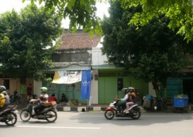 Pohon dapat menyerap polusi udara.