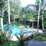 kolam renang taman bebek made wijaya Bali.