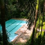 kolam renang rumah alexandrea kemang.