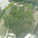 pohon eksisting yang dipertahankan di hotel double tree dan jalur sirkulasi